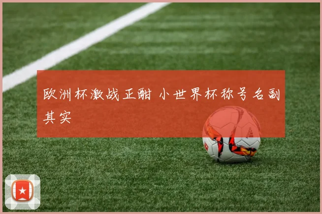 欧洲杯激战正酣 小世界杯称号名副其实