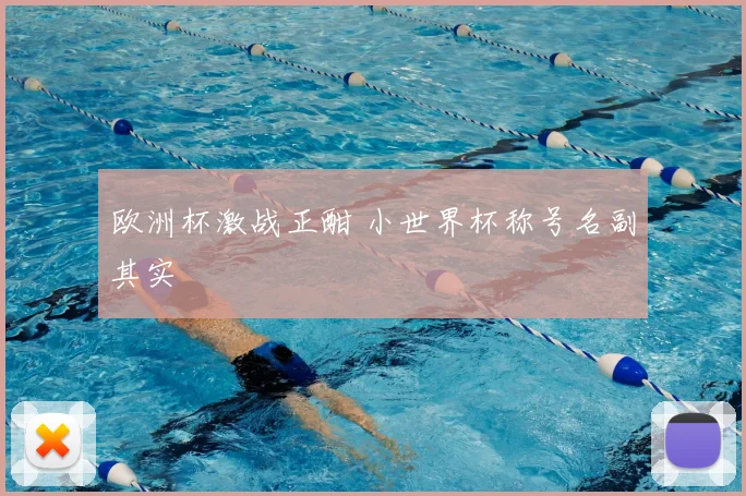 欧洲杯激战正酣 小世界杯称号名副其实