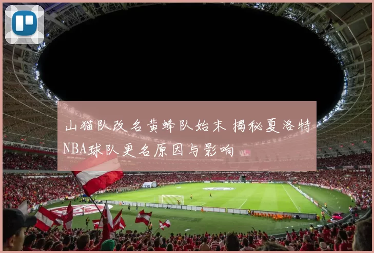 山猫队改名黄蜂队始末 揭秘夏洛特NBA球队更名原因与影响